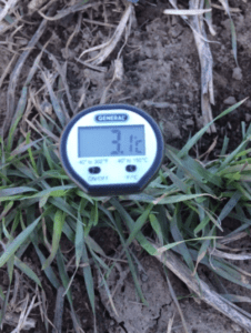 digital soil thermometer